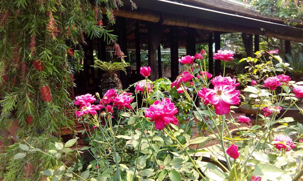 Tam Tinh Vien Homestay Hue Exterior photo