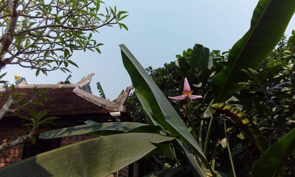 Tam Tinh Vien Homestay Hue Exterior photo